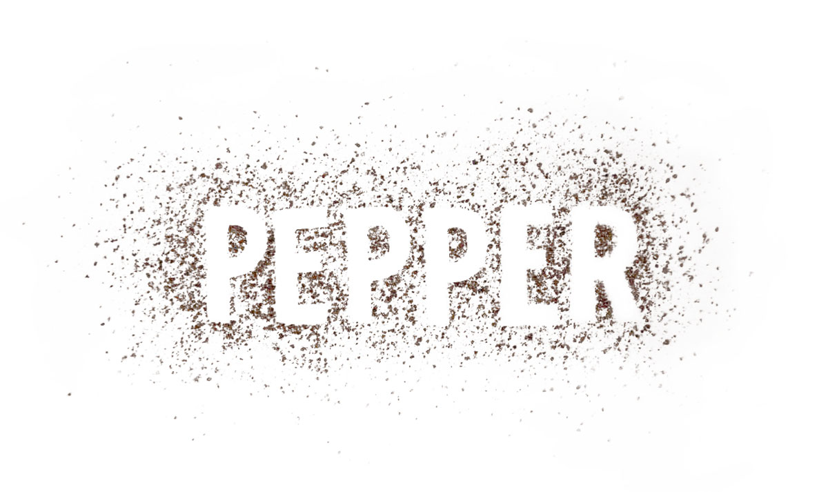 Pepper In Script Creating the Pepper brand - Colombo Design Studio